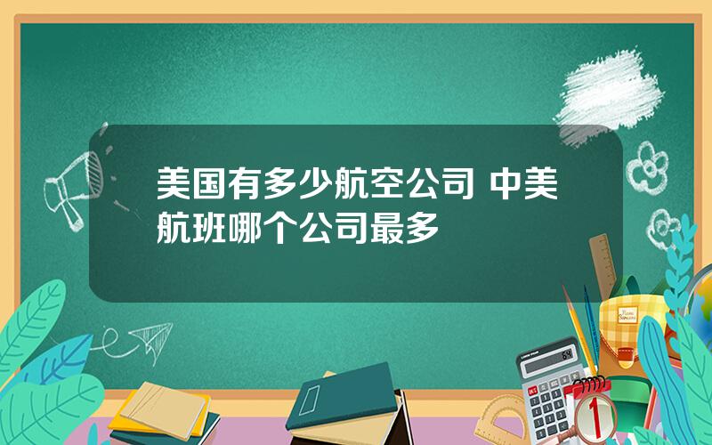 美国有多少航空公司 中美航班哪个公司最多